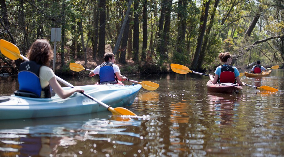 Kayaking on the Outer Banks | Kitty Hawk Surf Co.